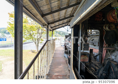 中舞鶴公園 95307096