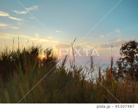 Sunset shines through grass Lefkada island Greece Sunset shines through grass Lefkada island Greece 95307467