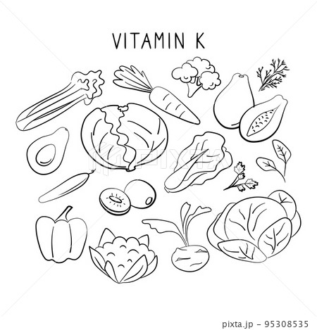 Vitamin K Phylloquinone. Groups of healthy products containing vitamins. Set of fruits, vegetables, meats, fish and dairy Vitamin K Phylloquinone. Groups of healthy products containing vitamins. Set of fruits, vegetables, meats, fish and dairy 95308535