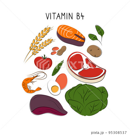 Vitamin B4 Choline. Groups of healthy products containing vitamins. Set of fruits, vegetables, meats, fish and dairy 95308537