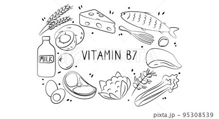 Vitamin B7 Biotin. Groups of healthy products containing vitamins. Set of fruits, vegetables, meats, fish and dairy Vitamin B7 Biotin. Groups of healthy products containing vitamins. Set of fruits, vegetables, meats, fish and dairy 95308539