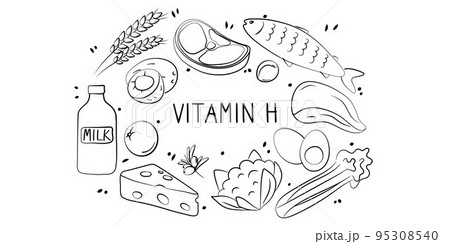 Vitamin H Biotin. Groups of healthy products containing vitamins. Set of fruits, vegetables, meats, fish and dairy. 95308540
