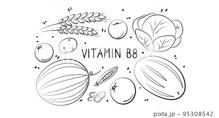 Vitamin B8 Inositol. Groups of healthy products containing vitamins. Set of fruits, vegetables, meats, fish and dairy Vitamin B8 Inositol. Groups of healthy products containing vitamins. Set of fruits, vegetables, meats, fish and dairy 95308542