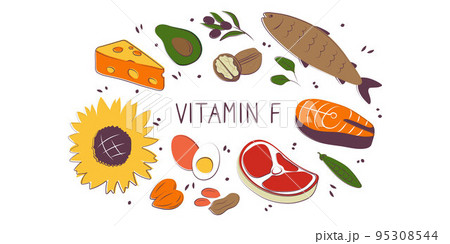 Vitamin F linoleic linolenic Acid. Groups of healthy products containing vitamins. Set of fruits, vegetables, meats, fish and dairy Vitamin F linoleic linolenic Acid. Groups of healthy products containing vitamins. Set of fruits, vegetables, meats, fish and dairy 95308544