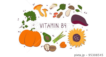 Vitamin B9 folic acid. Groups of healthy products containing vitamins. Set of fruits, vegetables, meats, fish and dairy. 95308545
