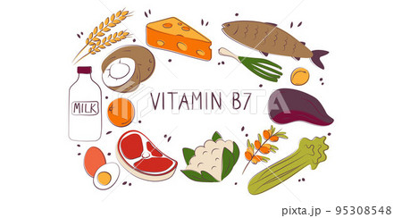 Vitamin B7 Biotin. Groups of healthy products containing vitamins. Set of fruits, vegetables, meats, fish and dairy Vitamin B7 Biotin. Groups of healthy products containing vitamins. Set of fruits, vegetables, meats, fish and dairy 95308548
