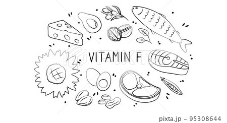 Vitamin F linoleic linolenic Acid. Groups of healthy products containing vitamins. Set of fruits, vegetables, meats, fish and dairy 95308644