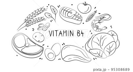 Vitamin B4 Choline. Groups Of Healthy Products...のイラスト素材 [95308689] - PIXTA