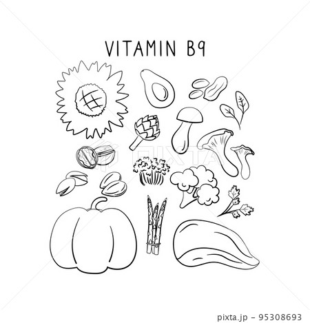 Vitamin B9 folic acid. Groups of healthy products containing vitamins. Set of fruits, vegetables, meats, fish and dairy. Vitamin B9 folic acid. Groups of healthy products containing vitamins. Set of fruits, vegetables, meats, fish and dairy. 95308693