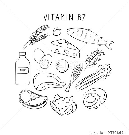 Vitamin B7 Biotin. Groups of healthy products containing vitamins. Set of fruits, vegetables, meats, fish and dairy. Vitamin B7 Biotin. Groups of healthy products containing vitamins. Set of fruits, vegetables, meats, fish and dairy. 95308694