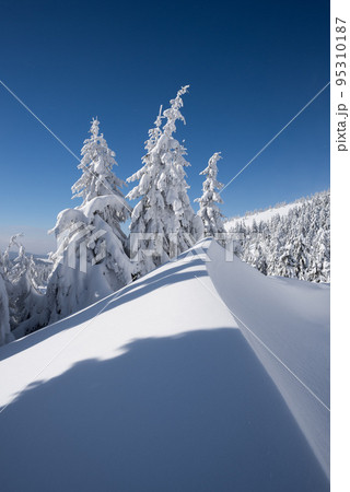 Winter landscape with deep snow and snowdrift 95310187