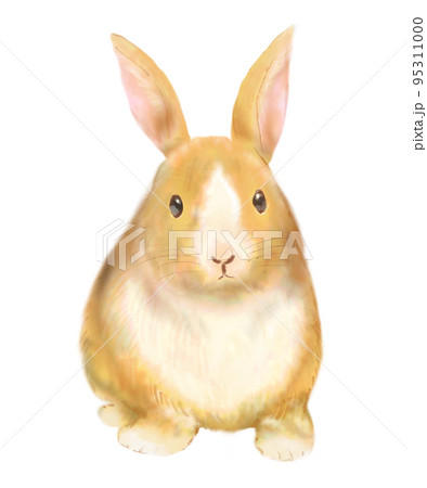 ウサギの水彩挿絵イラスト 95311000