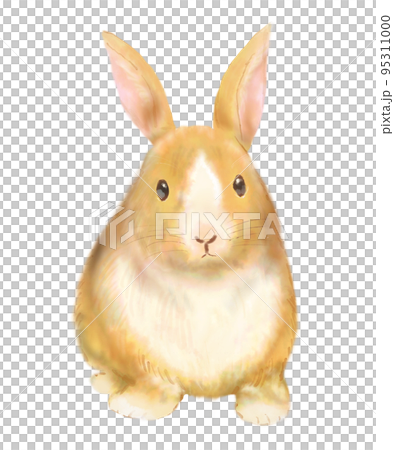 ウサギの水彩挿絵イラスト 95311000