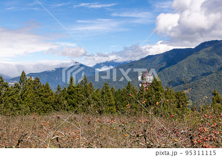 カジュアル 無造作 無頓着 95311115