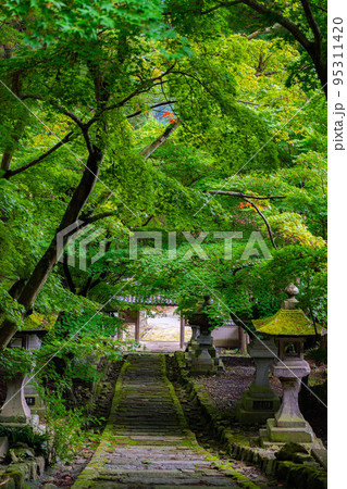 【夏素材】長野県清水寺の青もみじ【長野県】 95311420