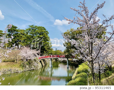 龍城堀の桜［岡崎公園/愛知県岡崎市］ 95311465