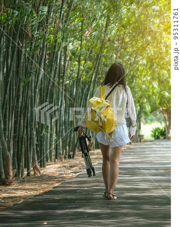 Back view of young woman with photo backpack and holding tripod walks alone to find photoshoot location in bamboo garden. Photographer female fun happy with walking travel nature in the bamboo forest. Back view of young woman with photo backpack and holding tripod walks alone to find photoshoot location in bamboo garden. Photographer female fun happy with walking travel nature in the bamboo forest. 95311761