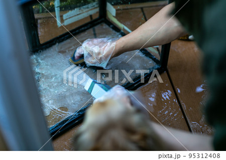 ガラス飼育ケージの掃除 ガラス飼育ケージの掃除 95312408
