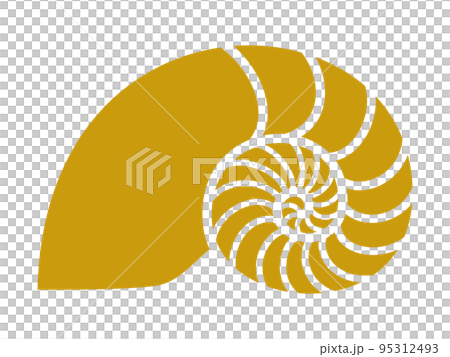 鸚鵡螺金色螺旋 95312493