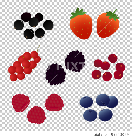 Vector illustration of berries (strawberries, raspberries, blueberries, etc.) Vector illustration of berries (strawberries, raspberries, blueberries, etc.) 95313059