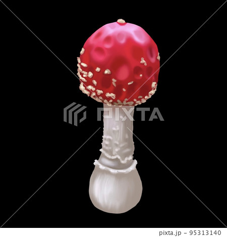 Watercolor red fly agaric. Realistic fly agaric mushroom. Poisonous mushroom Watercolor red fly agaric. Realistic fly agaric mushroom. Poisonous mushroom 95313140