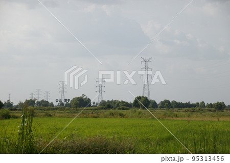 Wide angle view of electricity transmission towers in the vast rice fields against a dark stormy sky Wide angle view of electricity transmission towers in the vast rice fields against a dark stormy sky 95313456