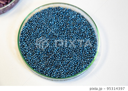 Macro. Processed blue-coated rapeseed seeds in a petri dish in the lab Macro. Processed blue-coated rapeseed seeds in a petri dish in the lab 95314397