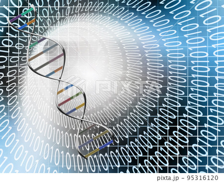 Binary tunnel and DNA Strand Binary tunnel and DNA Strand 95316120