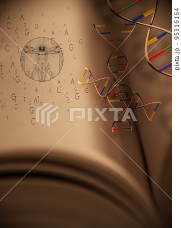 Genesis book Genesis book 95316164