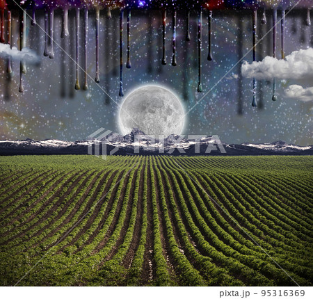 Green Rows 95316369