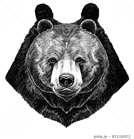 Portrait brown bear in the forest up close. Wildlife scene from spring nature. Wild animal in the natural habitat 95316922