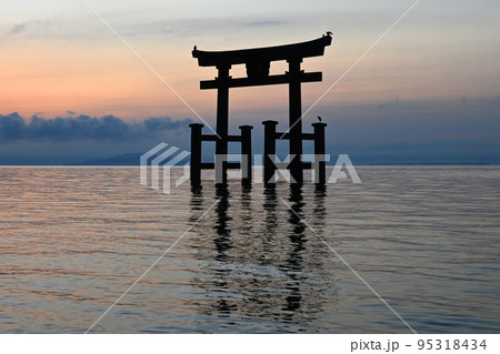 夜明けの滋賀県白鬚神社の湖中に建つ大鳥居が美しい 夜明けの滋賀県白鬚神社の湖中に建つ大鳥居が美しい 95318434