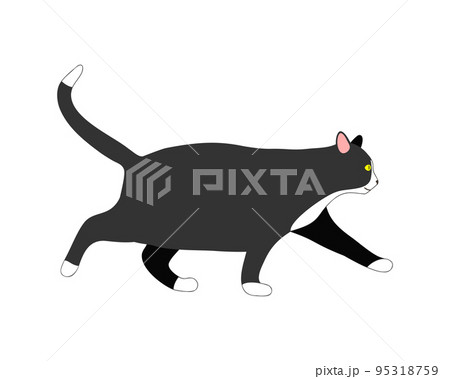 Walking fat cat isolated on white background. Profile of kitten with overweight or obese body condition. Domestic animal obesity Walking fat cat isolated on white background. Profile of kitten with overweight or obese body condition. Domestic animal obesity 95318759