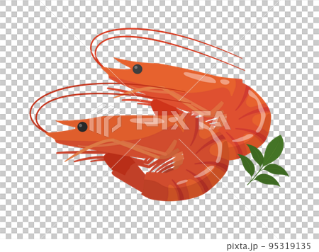 Shrimp 95319135