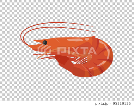 Shrimp 95319136