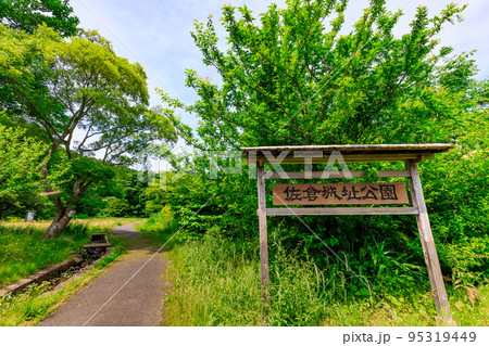 千葉県　佐倉市にある 佐倉城址公園（佐倉城跡） 95319449