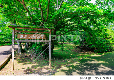 千葉県　佐倉市にある 佐倉城址公園（佐倉城跡） 95319463