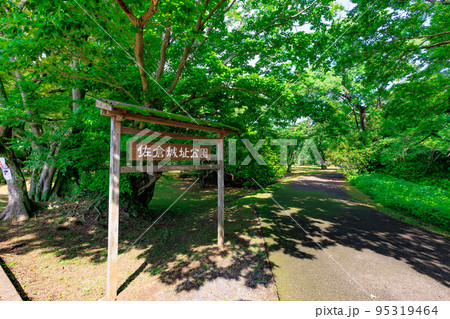 千葉県 佐倉市にある 佐倉城址公園(佐倉城跡) 千葉県 佐倉市にある 佐倉城址公園(佐倉城跡) 95319464