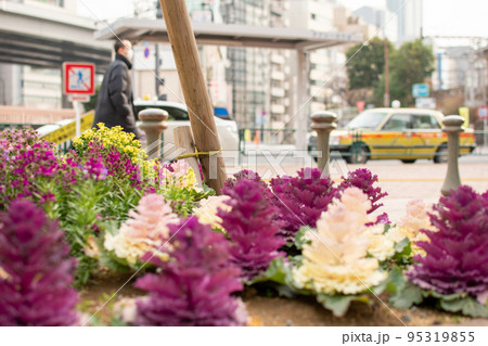 飯田橋駅周辺／東京都千代田区 95319855
