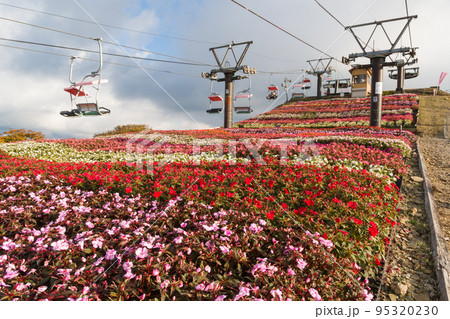 茶臼山高原のリフトとサンパチェンス（愛知県） 95320230
