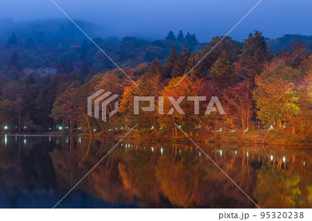 茶臼山高原の紅葉ライトアップ(愛知県) 茶臼山高原の紅葉ライトアップ(愛知県) 95320238