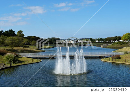 国営ひたち海浜公園 西口エリアの風景 国営ひたち海浜公園 西口エリアの風景 95320450