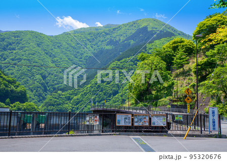 秩父湖　二瀬ダム　展望台付近の眺め　初夏の風景 95320676