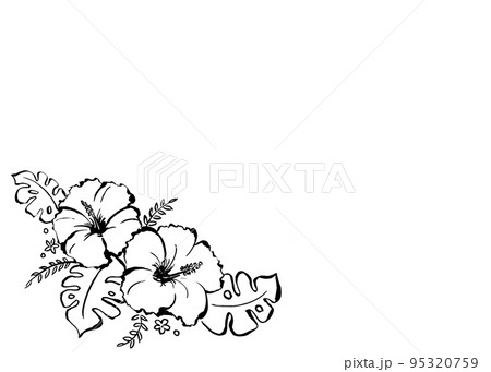 墨で描いたハイビスカスのイラスト 95320759