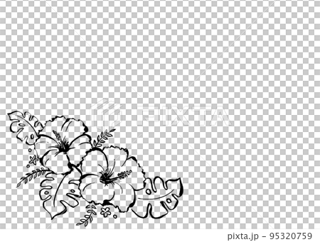 用墨水繪製的芙蓉圖 用墨水繪製的芙蓉圖 95320759