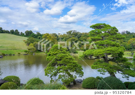 きれいな形のクロマツ越しに見る色づき始めた秋の日本庭園の情景＠万博公園、大阪 95320784
