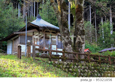 秋の淡墨桜の里・根尾路散策・118（岐阜県本巣市根尾） 95321056