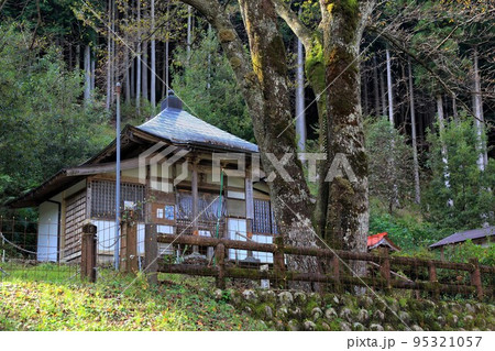 秋の淡墨桜の里・根尾路散策・119（岐阜県本巣市根尾） 95321057