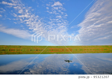 岐阜県海津市南濃町津屋　彼岸花が咲き始めた津屋川堤防の水面の反射 95321207
