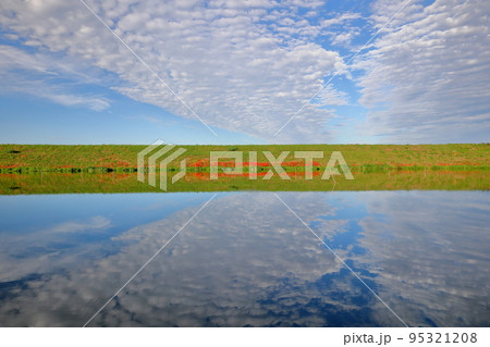 岐阜県海津市南濃町津屋　彼岸花が咲き始めた津屋川堤防の水面の反射 95321208